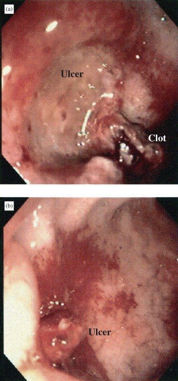 image MedNobel Curso de emergência e intensivo