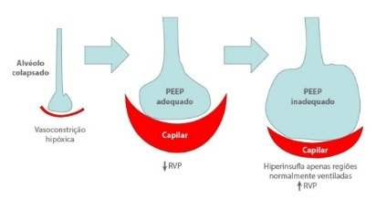 image MedNobel Curso de emergência e intensivo