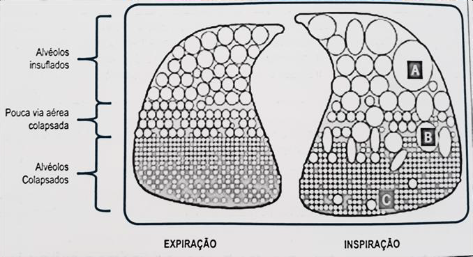 image MedNobel Curso de emergência e intensivo