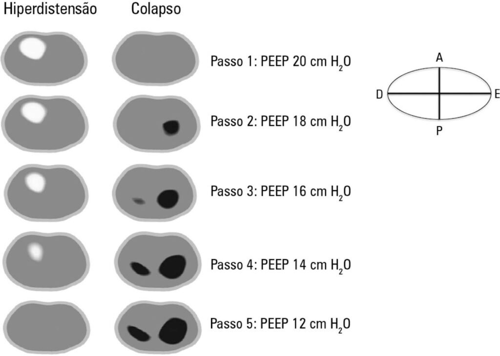 image MedNobel Curso de emergência e intensivo