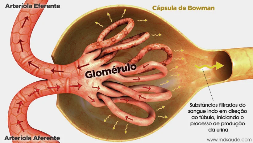 image MedNobel Curso de emergência e intensivo
